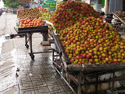 Chôm chôm được bán với giá rẻ ở lề đường Sài Gòn. Ảnh: Hồng Châu.