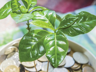 Tín dụng xanh: Liệu có còn nói dễ hơn làm?