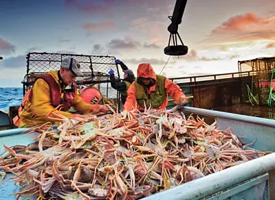 Hải sản vùng Alaska. Ảnh: Chris Miller.