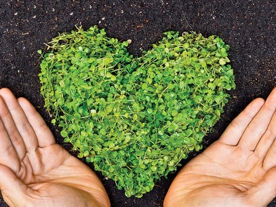 Liệu có cần hiệp hội phụ trợ bảo hiểm?