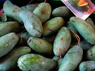 Xoài Thái trồng ở Việt Nam là sản phẩm Việt...