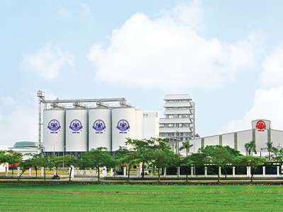 Halico tụt dốc không phanh, vốn nhà nước ngày càng teo tóp