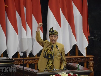 Tổng thống Indonesia Joko Widodo. (Ảnh: AFP/TTXVN).