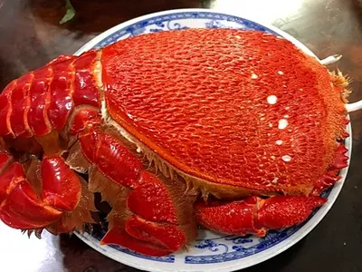 Cua huỳnh đế Australia được nhập về bán với giá 1,1-1,2 triệu đồng một kg.