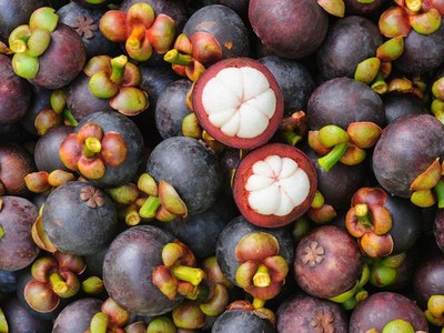 Măng cụt Việt Nam đang được ưa chuộng tại Trung Quốc .