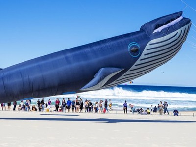 Những người sở hữu lượng bitcoin khổng lồ được gọi là "cá voi" (whales). (Ảnh: arstechnica.com).