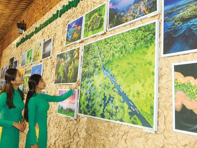 Tăng trưởng cần đi đôi với bảo vệ môi trường sống 