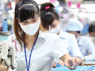 Bảo hiểm xã hội mạnh tay với doanh nghiệp nợ đọng 