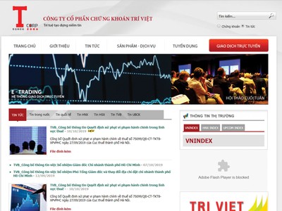 Chứng khoán Trí Việt vi phạm pháp luật về thuế