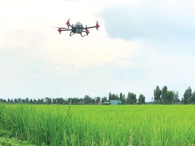 Lộc Trời thay đổi cho cuộc chơi dài hạn