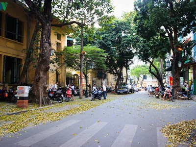 Vẻ đẹp Hà Nội hấp dẫn du khách quốc tế.