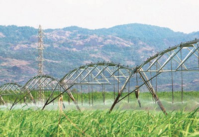 Mía đường Sơn La (SLS): Lợi nhuận quý I năm tài chính 2020 giảm mạnh