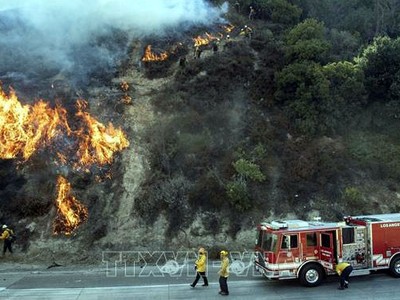 Nhân viên cứu hỏa nỗ lực khống chế các đám cháy rừng lan rộng tại Newhall, California, Mỹ, ngày 11/10. Ảnh: AFP/TTXVN.