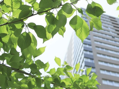 Tăng cường áp dụng tiêu chí đánh giá môi trường đối với các dự án đầu tư nhằm thúc đẩy tín dụng xanh