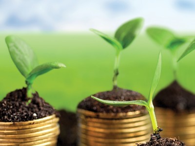 Nỗ lực đáng ghi nhận của Việt Nam trong thúc đẩy tài chính xanh