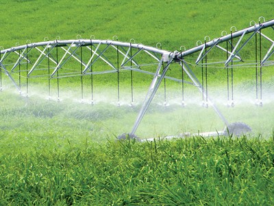 BAC A BANK: Chiến lược phát triển gắn liền tín dụng xanh 