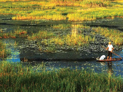 Hỗ trợ giảm nghèo bền vững và nền kinh tế “xanh”