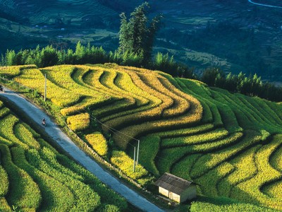 Khi việc minh bạch thông tin tốt hơn, các nhà đầu tư sẽ tự tin hơn về độ chân thật của các dự án tài chính xanh.