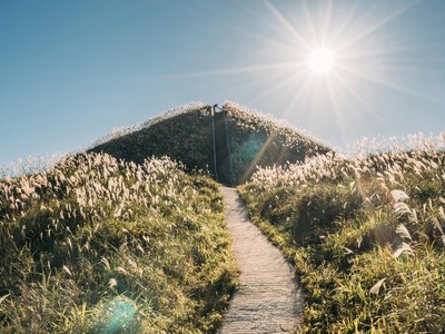 Cỏ lau nở trắng trời ở Vạn Lý Trường Thành phiên bản Việt