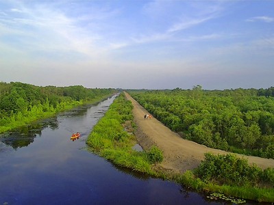 Khám phá Cánh Đồng Bất Tận ở Long An
