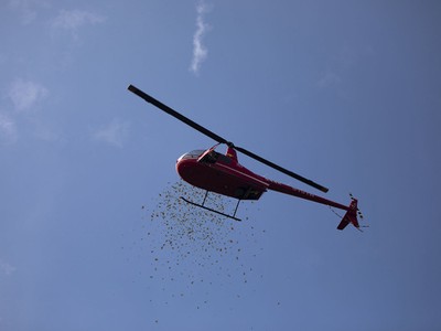 Chiếc trực thăng thả những phong bì đỏ, lì xì cho các vị khách đến tham dự đám cưới. Ảnh: qq.