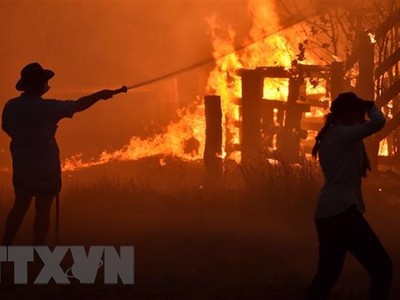 Hiện trường vụ cháy rừng tại Hillsville ở gần Taree, Australia. (Ảnh: AFP/TTXVN)