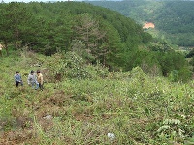(Ảnh minh họa: Nguyễn Dũng/ TTXVN)