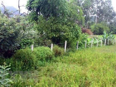 (Ảnh minh họa: Tá Chuyên/TTXVN)