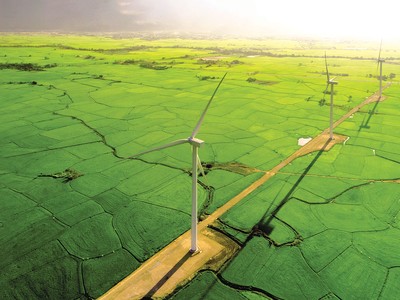 Bản chất của kinh doanh là phát triển bền vững