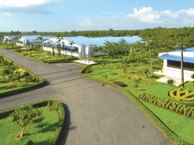 C.P. Việt Nam:  Phát triển bền vững dựa trên giá trị cốt lõi