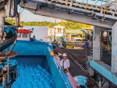 Đạm Cà Mau vững bước trên hành trình hướng đến nông nghiệp xanh 