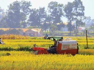 Tháo gỡ rào cản tích tụ đất đai cho doanh nghiệp 