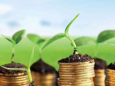 Gieo những hạt giống tốt cho thị trường chứng khoán