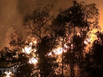 Hiện trường đám cháy tại bản Noong Luống A1, xã Noong Luống, huyện Điện Biên. (Ảnh: Phan Tuấn Anh/TTXVN)