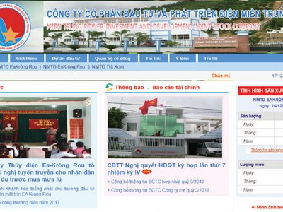 Điện miền Trung (SEB) đặt kế hoạch đi lùi trong năm 2020