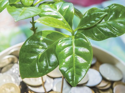 Đầu tư kinh doanh bền vững: Mệnh lệnh từ thực tế