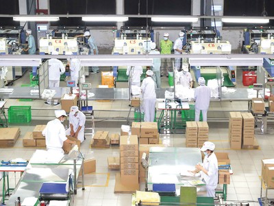 Thích ứng để bơi ra đại dương xanh 