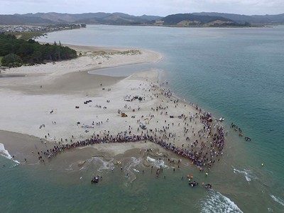 Bãi biển Mataragi Spit hôm 4/1. Ảnh: Project Jonah.