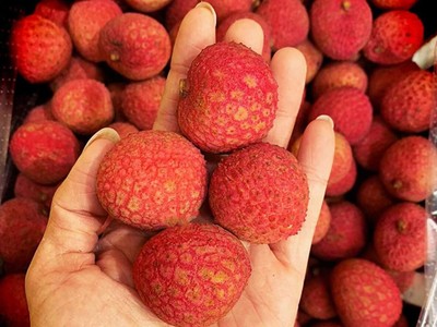 Quả vải nhập khẩu từ Australia được bán ở Hà Nội. Ảnh: OzFresh.