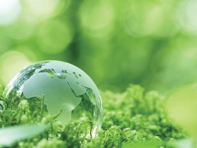 Rủi ro môi trường và túi tiền doanh nghiệp