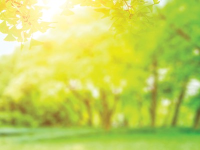 Lan tỏa những giá trị xanh đến cộng đồng 