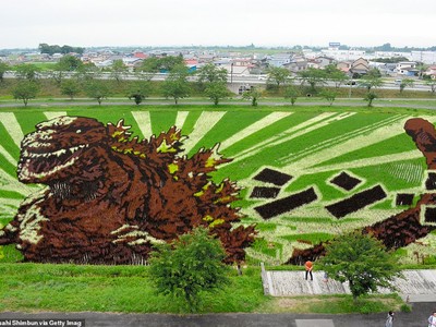 Ngắm triển lãm tranh nghệ thuật quái vật Godzilla, người đẹp Marilyn Monroe... trên ruộng lúa tại Nhật Bản