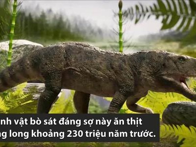 Cá sấu ăn thịt khủng long cách đây 230 triệu năm
