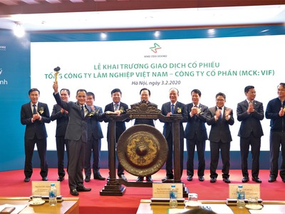 350 triệu cổ phiếu Vinafor (VIF) chào sàn Hà Nội 