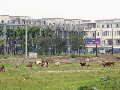 Nhìn lại rủi ro nhận thế chấp tài sản hình thành trong tương lai 