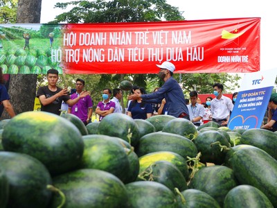 20 tấn dưa hấu đầu tiên đã được vận chuyển từ Gia Lai đến Tập đoàn TTC chiều 11/2.