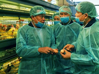 Bộ trưởng Nông nghiệp và Phát triển nông thôn Nguyễn Xuân Cường (ngoài cùng bên phải) kiểm tra công tác phòng chống dịch cúm gia cầm ngày 16/2.