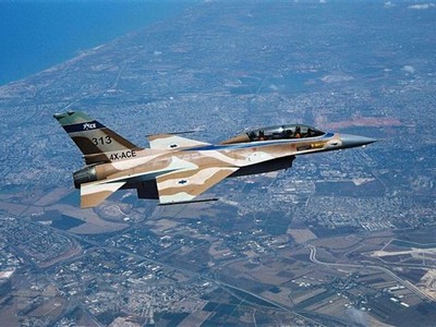 Hệ thống này có thể tự động giành quyền kiểm soát máy bay. (Nguồn: AFP/TTXVN).