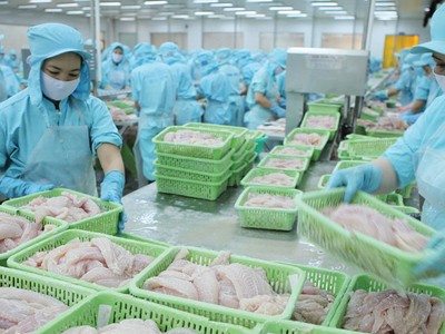 Doanh nghiệp thuỷ sản tìm đường bù đắp thị trường Trung Quốc