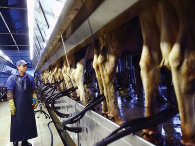 GTNFoods  (GTN): Cổ đông lớn thoái vốn